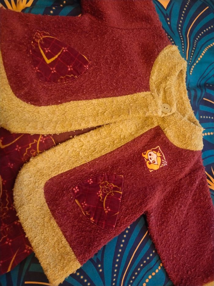 Ensemble 2 ans orchestra - photo numéro 2