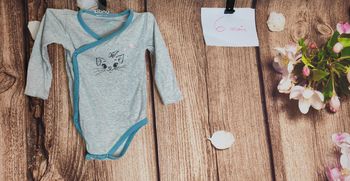 Body chat Aristochats Disney