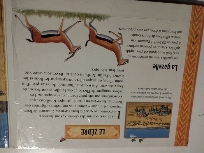 Livre éducatif avec puzzle - photo numéro 2