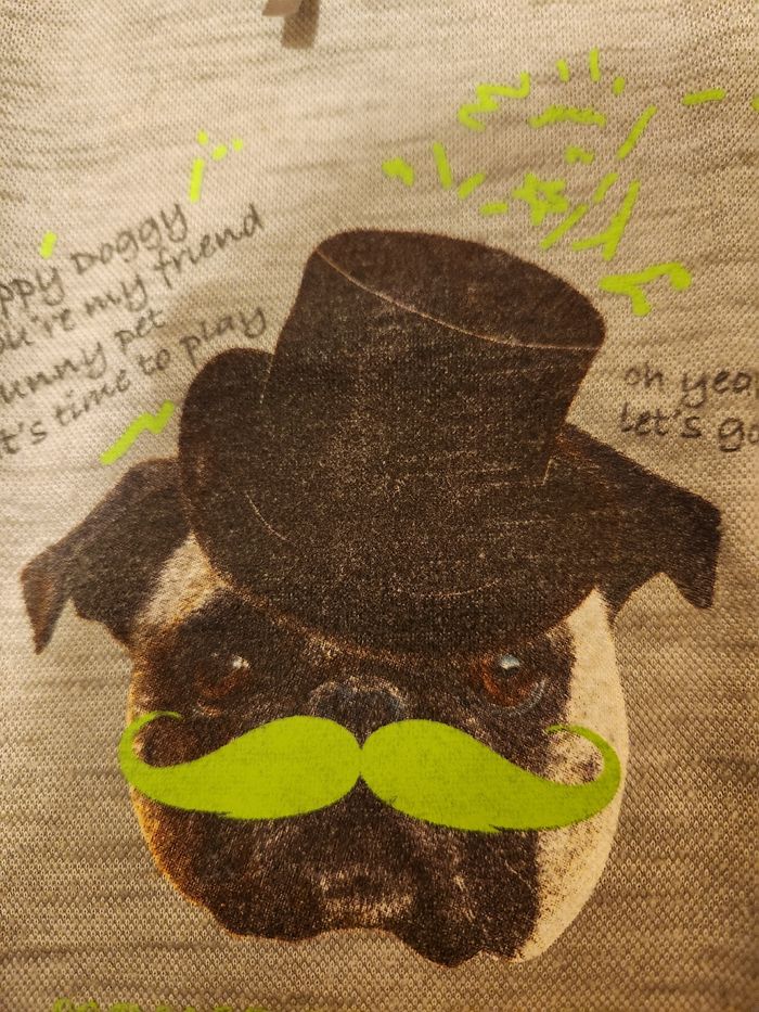 Ensemble bermuda en jean + 2 t-shirts Orchestra - photo numéro 7