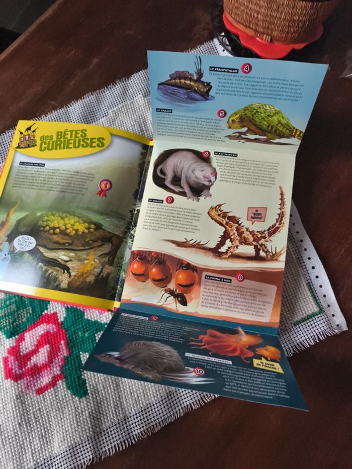 Livre Top Doc Animaux - photo numéro 4