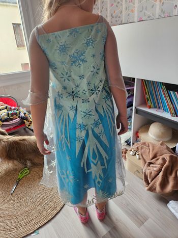 Deguisement reine des neiges