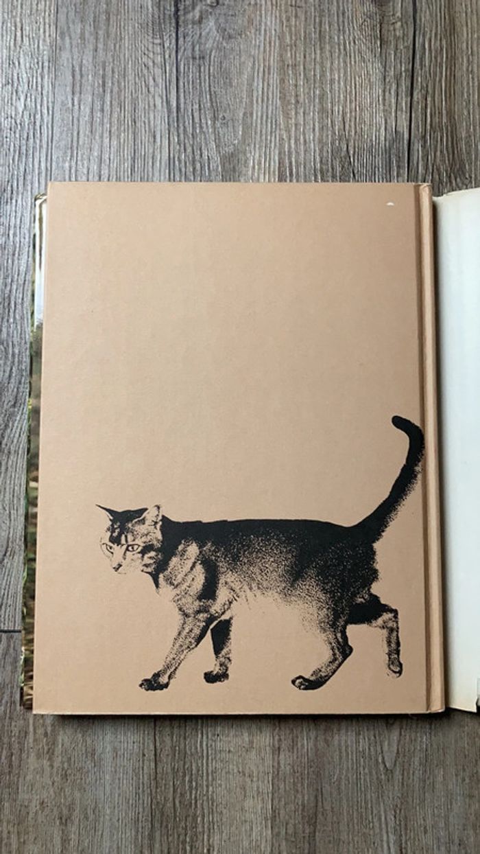 Livre relié Le Monde fascinant des chats - photo numéro 9