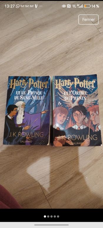 Lot de 2 livres Harry Potter
