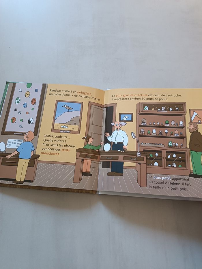 Mon p'tit docs "les oeufs" - photo numéro 3