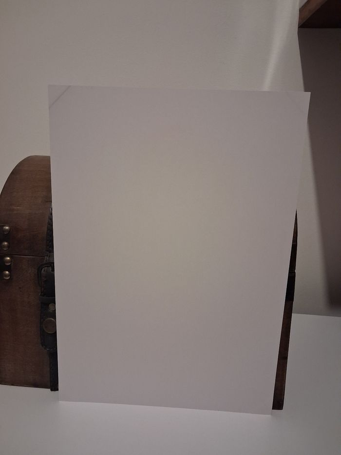 Ex-Libris Ex Libri Shikishi XxxHolic Kimihiro Watanuki 20 ans Pika Passion du manga Ex Libris - photo numéro 2