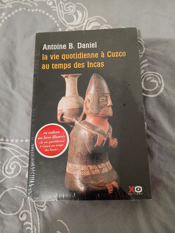 Livre (5) 📚 INCA _ Princesse du soleil - photo numéro 2