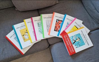 Lot complet " les cahiers d Esther"