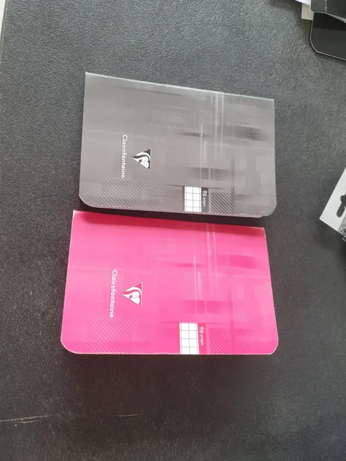 Lot de 2 petits cahiers de poches
