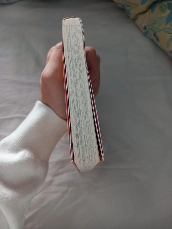 Fairy Tail Volume 1 - photo numéro 5