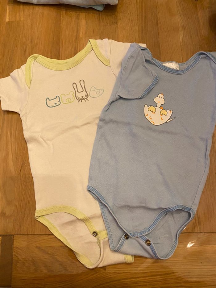 Bodies manches courtes 18 mois