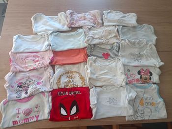 Lot de 19 bodies taille 12 mois