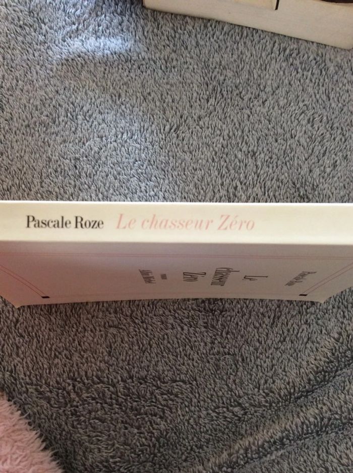 # le chasseur Zéro Pascale Roze - photo numéro 4