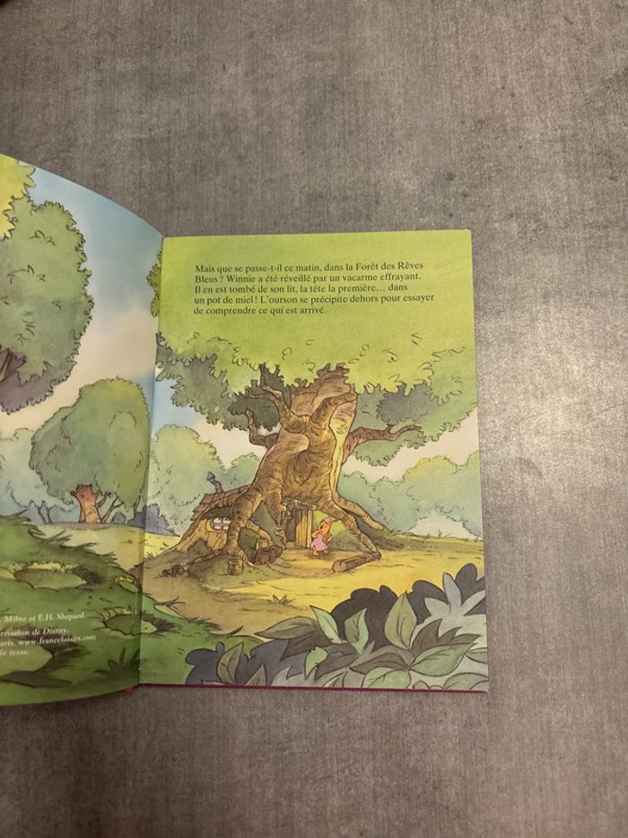 Livre Disney, Winnie, l’ourson et l’efelant - photo numéro 4