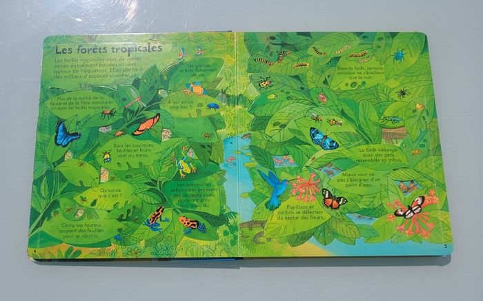 P'tits curieux Usborne 🌎 Notre Terre 🌎 80 rabats - photo numéro 5