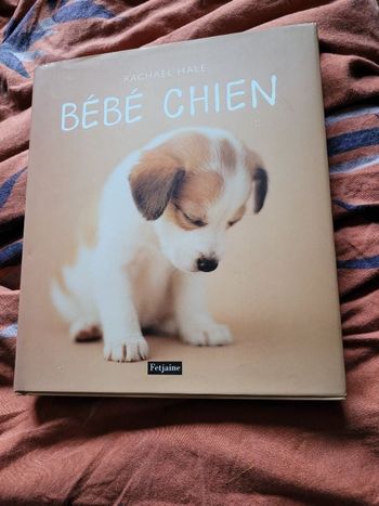 Bébé chien