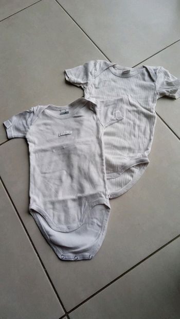 Lot de 2 bodys manches courtes