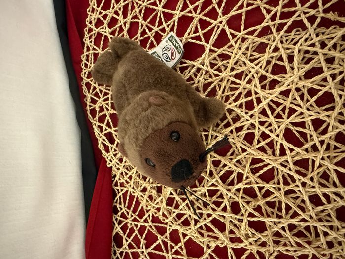 Nature Planet - Peluche - Plan L - Lion de mer