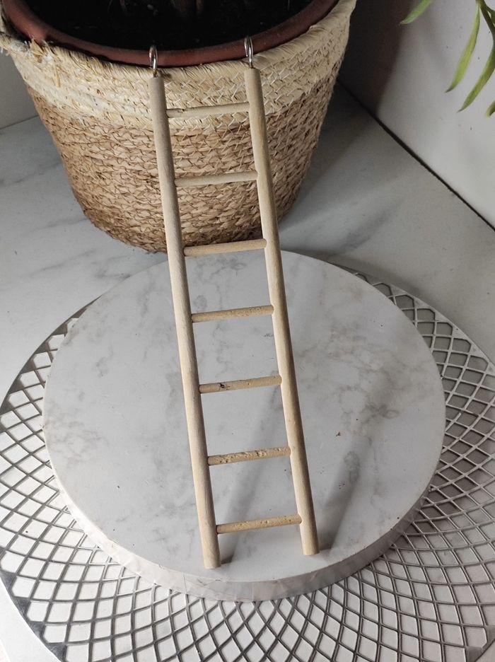 Échelle pour oiseaux - photo numéro 2