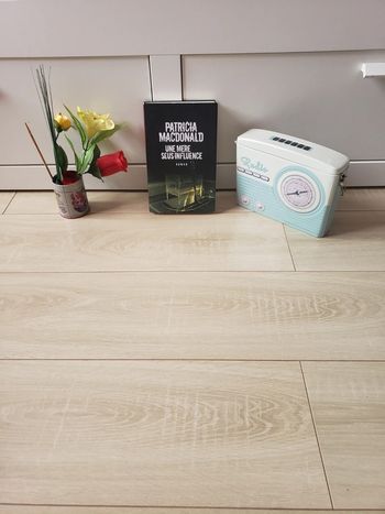 Livre 📖 Une mère sous influence 5€