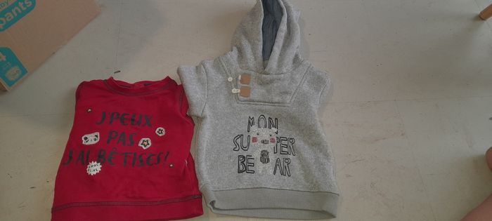 Lot de 2 pulls 18 mois