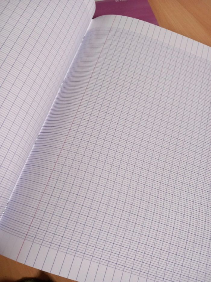 3 cahiers 96 pages et protège cahier - photo numéro 6