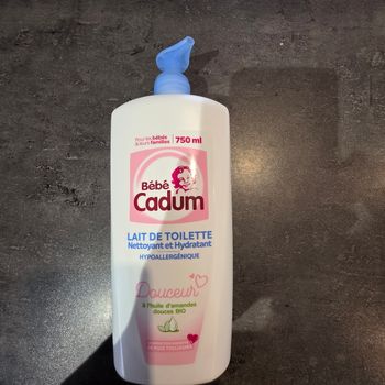 Laig de toilette