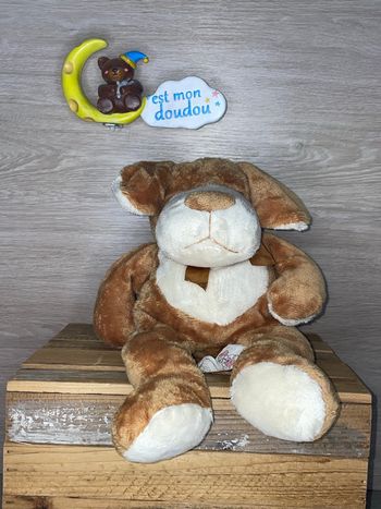 DIV496 doudou chien 🐶 startoy