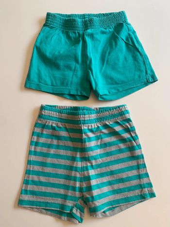 Lot 2 shorts