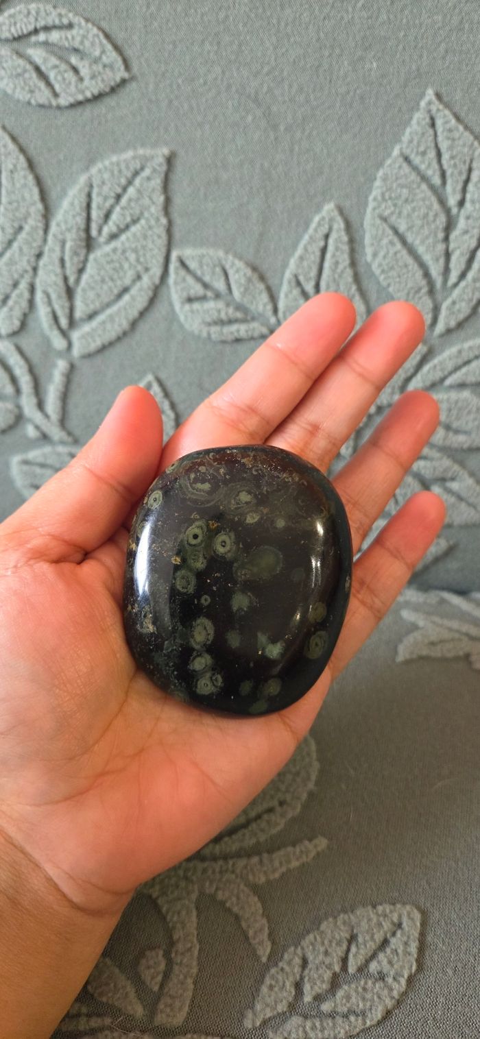 Kambaba Jasper - photo numéro 3