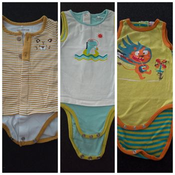 Lot 3 bodies
