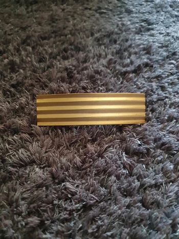 Barrette rectangulaire dorée