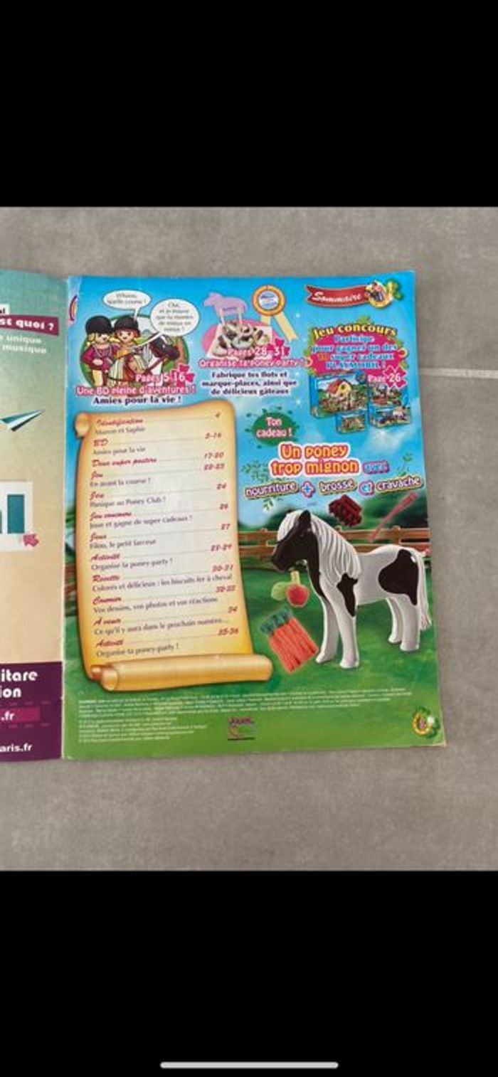 Jeu Playmobil - photo numéro 2