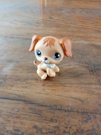 Petshop Chien golden retriever