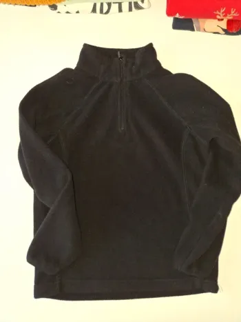 Pull polaire