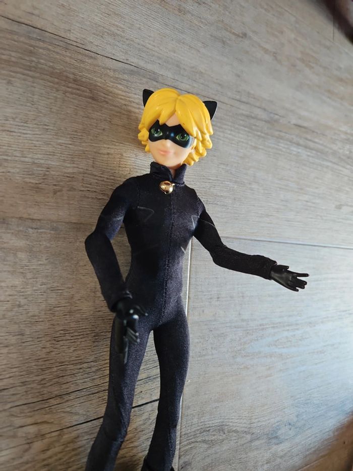 Chat noir - photo numéro 3