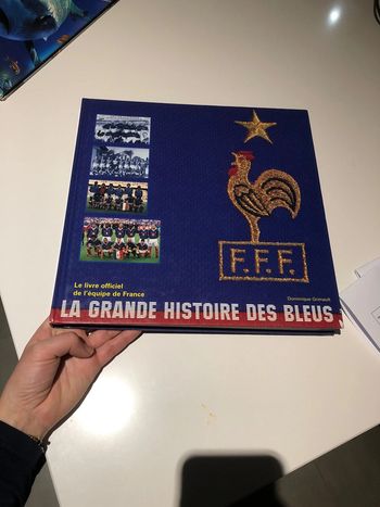Livre la grande histoire des bleus