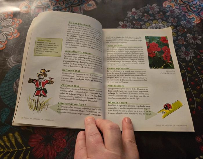 Trucs et astuces de jardinage - photo numéro 3