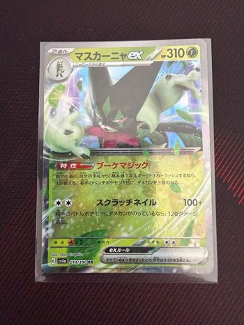 Carte Pokémon 