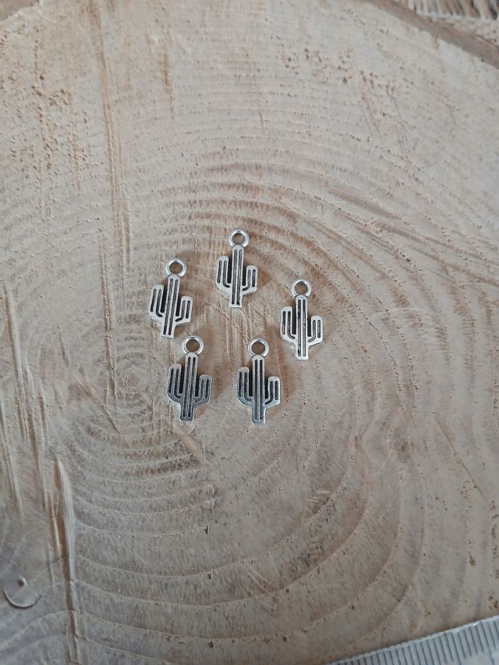 Lot de 22 breloques cactus argenté
