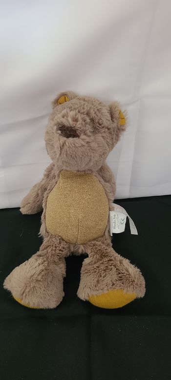 OURSON BRUN CHANTERELLE RENDEZ-VOUS CHEMIN DU LOUP