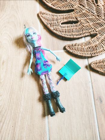 🦇 Poupée Monster high Abbey Bominable picture day Mattel