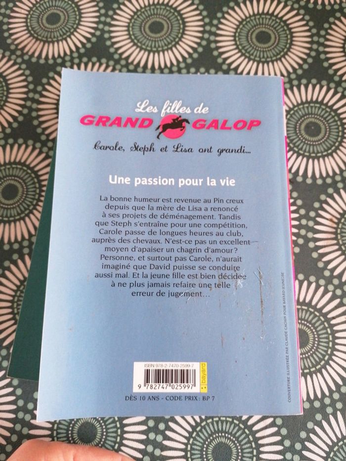Grand Galop Manon l'Étalon Noir - photo numéro 7