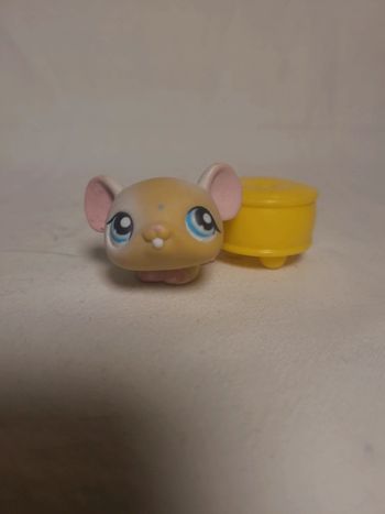 souris petshop aimanté