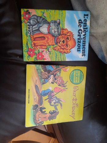 Lot de 2 livres enfants