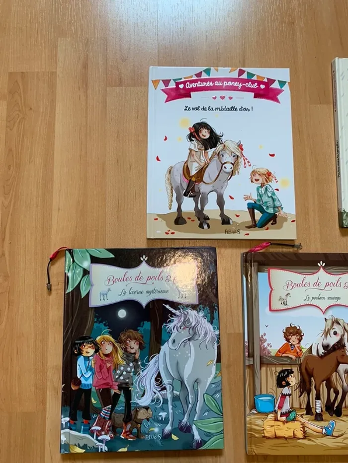 Lot livres poneys - photo numéro 2
