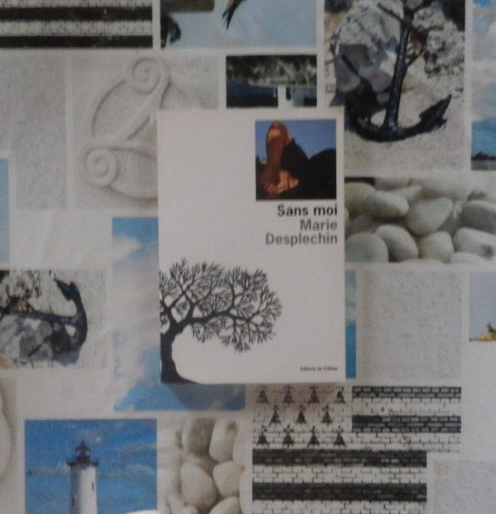 Sans moi de Marie Desplechin Ed. de l'Olivier