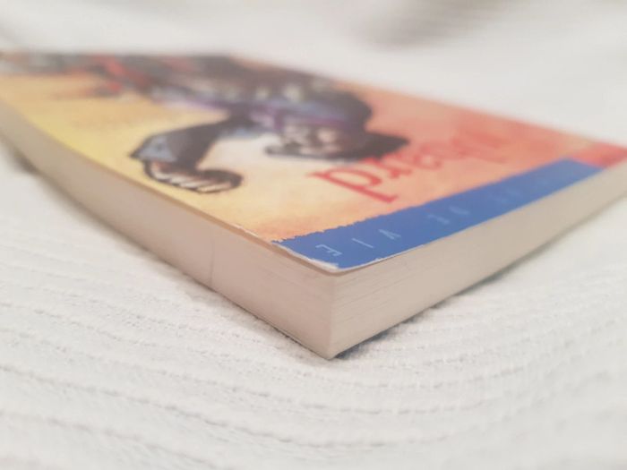 Le jobard de Michel piquemal - photo numéro 3