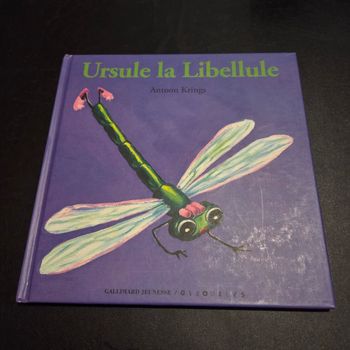 Livre enfant Antoon Krings Drôles de petites bêtes 