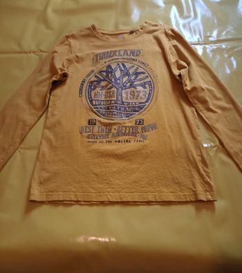 tee shirt manches longues timberland M